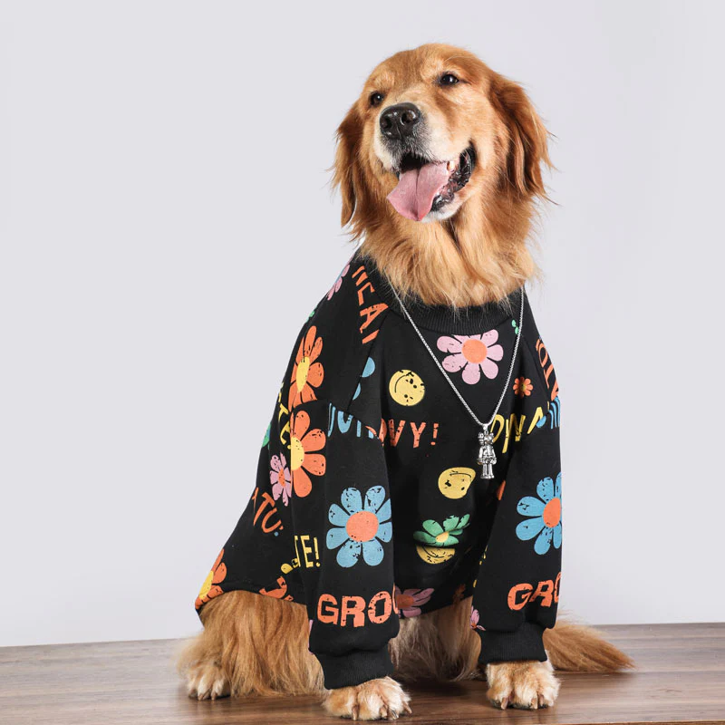 Hcfd1d8eb21254719a188127980975b63I